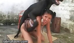 animal fucks girl, fucking with animals