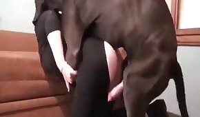 woman and animal, animal fuck sex