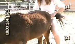 oral bestiality orgies, beastiality porn