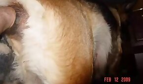 gape, close up scenes