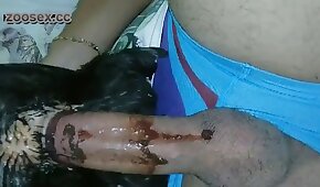 animal porn videos, fucking with animals