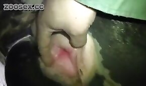 gape, hardcore animal porn